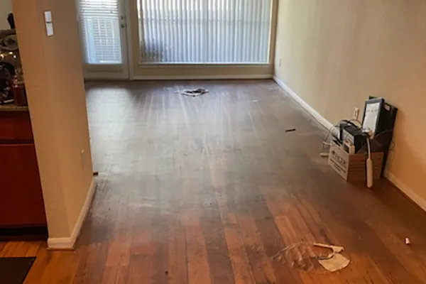 Reliable Home Cleaner in Webster, TX