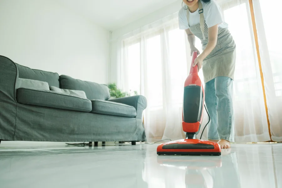 Affordable Vacuum Cleaning in Webster, TX