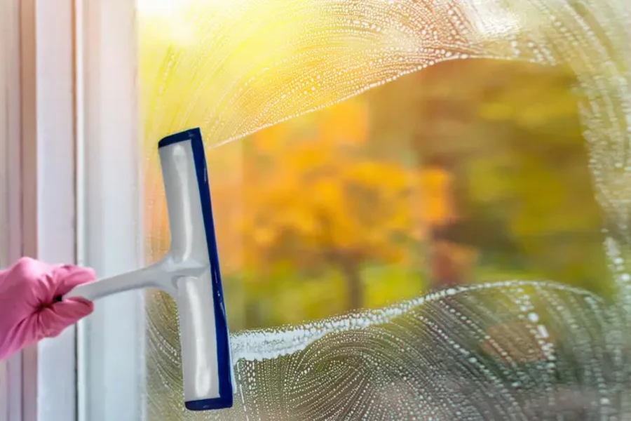 How Professional Window Cleaning Saves Time And Effort in Webster, TX