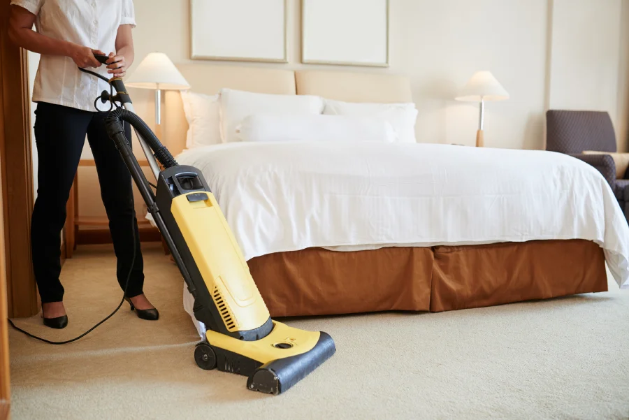 Vacuum Cleaning Tips For Pet Owners in Webster, TX